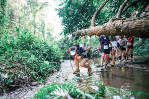 BIB: 
                            <button type="button" onclick="openModal(25461405)" class="btn btn-primary btn-sm float-right btn-popup" data-toggle="modal" data-target=".modal-high-quality">
                        <i class="fas fa-shopping-cart"></i> Add to Cart
                    </button>
                                            <button type="button" onclick="isThisMe(25461405, true)" class="btn btn-success btn-sm float-right btn-popup btn-isme hidden" data-toggle="tooltip" data-placement="bottom" title="นี่คือรูปของคุณใช่ไหม คลิกที่นี่เพื่อเอาเข้าอัลบั้ม">
                        <i class="fas fa-plus"></i> Add to album
                    </button>
                    <button type="button" onclick="isThisMe(25461405, false)" class="btn btn-warning btn-sm float-right btn-popup btn-isnotme hidden">
                        <i class="fas fa-ban"></i> Remove from album
                    </button>